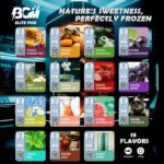 BGM ELITE POD【BUY 10 FREE 2 POD】